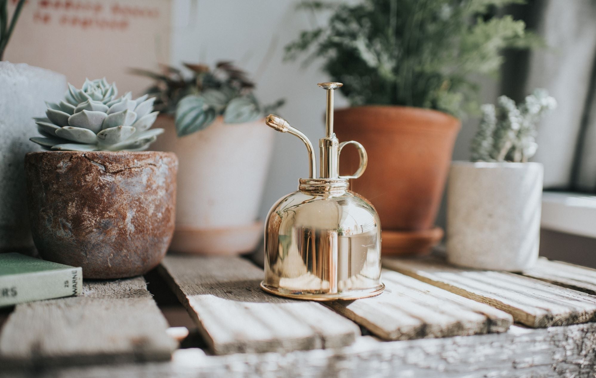The Langley Sprinkler- Houseplant Set - Recycled & Brass